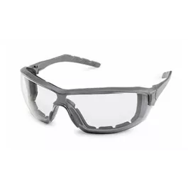 Gateway 22GY7 Silverton Gray Frame fX2 Anti-Fog Lens Goggles