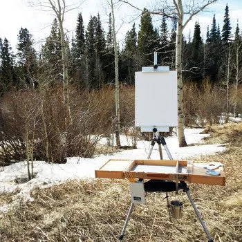 Guerrilla Campaign Box