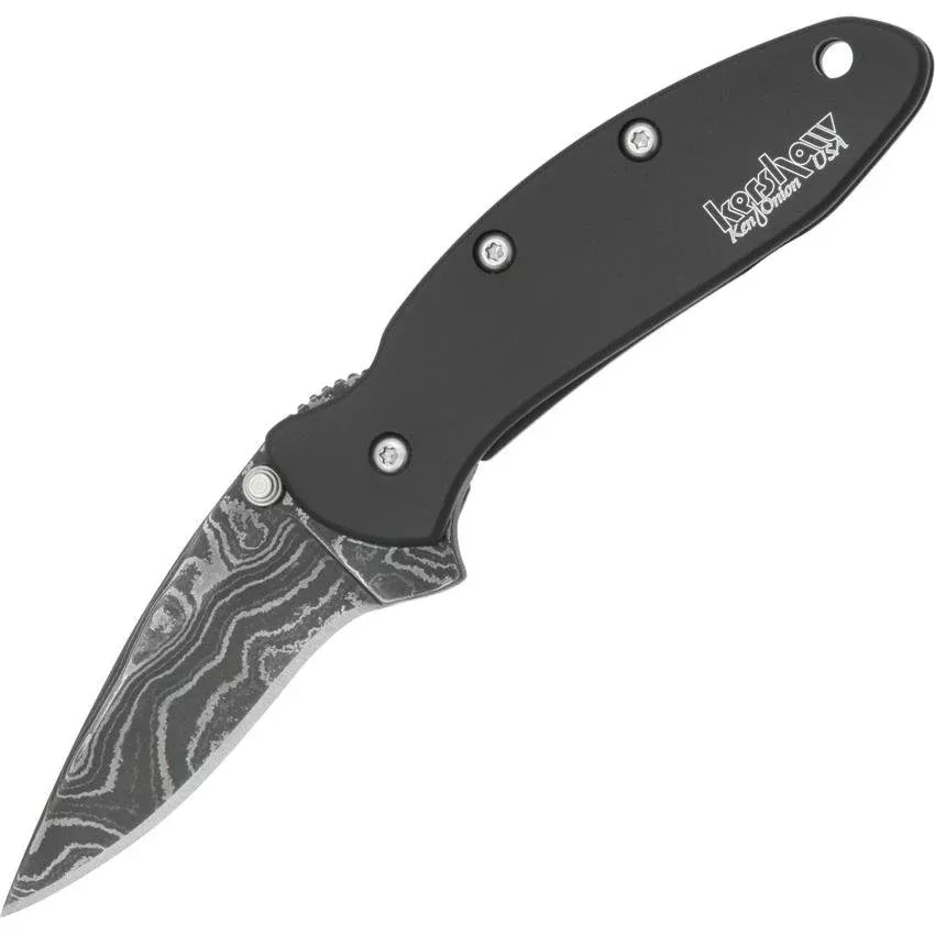 Kershaw USA Chive Framelock Assisted Opening Dam