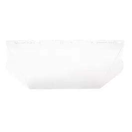 MSA 101158 V-Gard Faceshield Visors